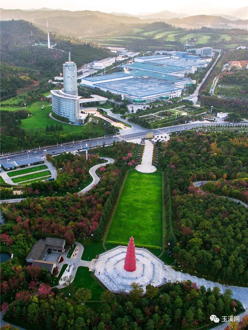 诗情画意文峰路,诗情画意岩茶