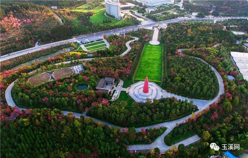 诗情画意文峰路,诗情画意岩茶