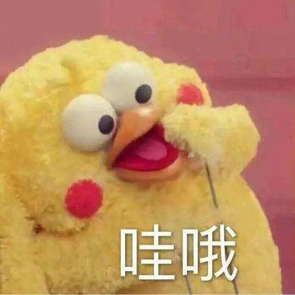 全世界都在吃“四鸭cp”的瓜，而我只关心弟弟的毛孔粗大...