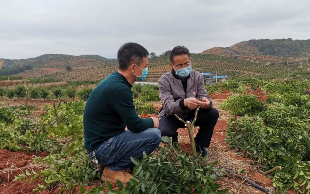 春风送暖见行动雷锋精神永传承,弘扬雷锋精神暖心服务基层行