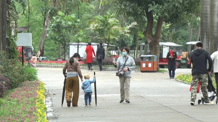 肇庆七星岩星湖夜景民宿,七星岩风景名胜区民宿