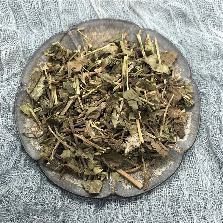 栖霞山植物百科视频,栖霞山上的植物