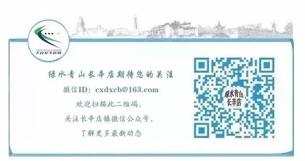 长辛店镇“拍了拍”您，并送上“三心”馅儿端午粽