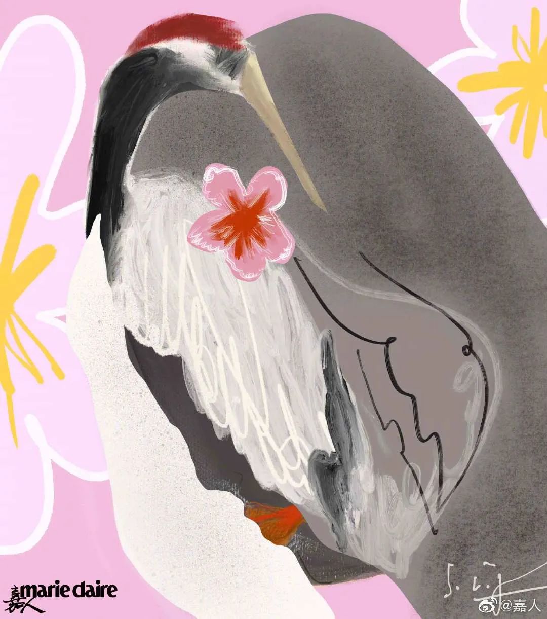 插画师入坑指南菜鸟逆袭,入坑电脑插画