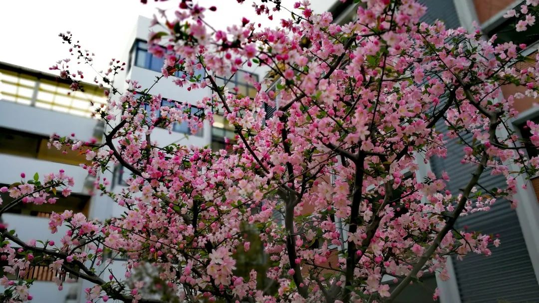 四月校园联谊,四月相聚