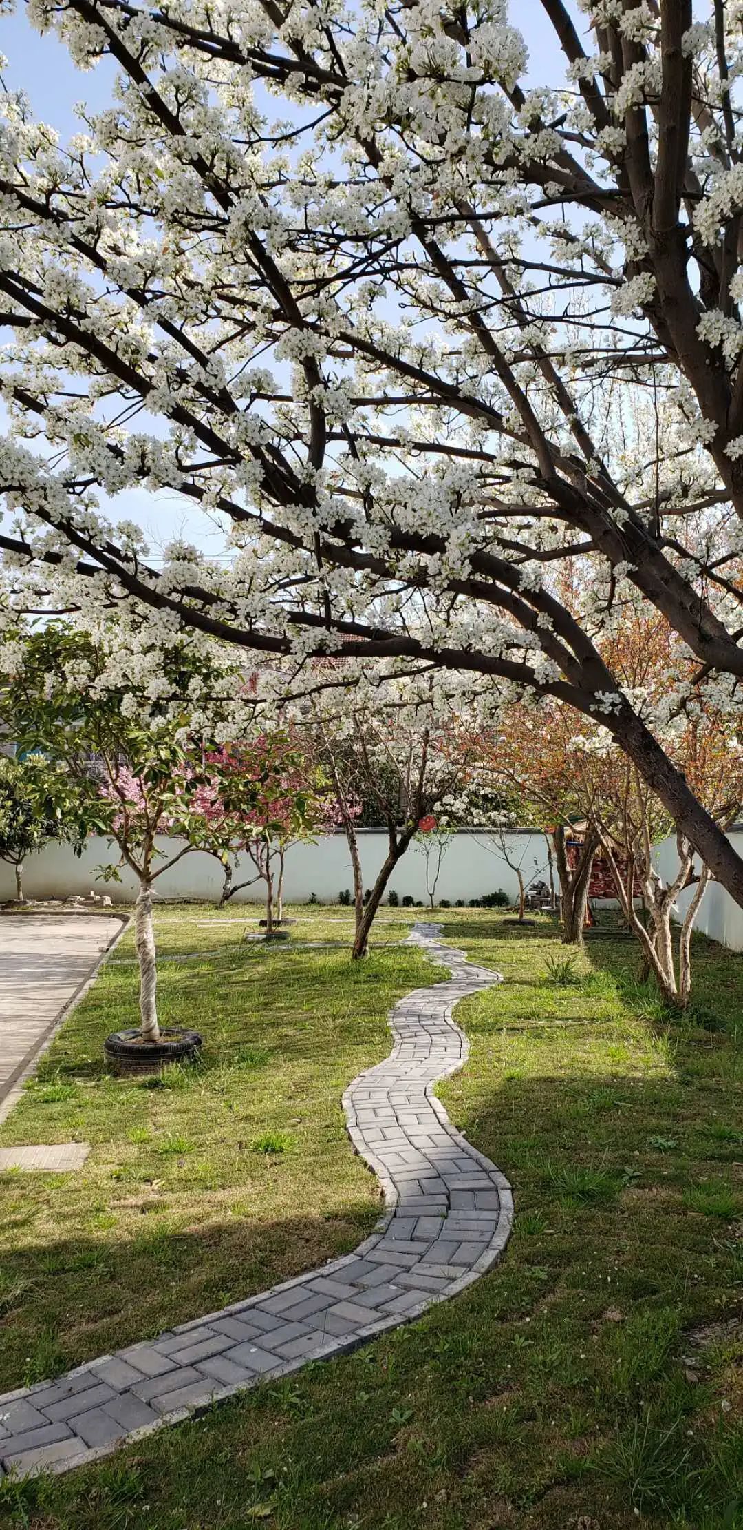 四月校园联谊,四月相聚