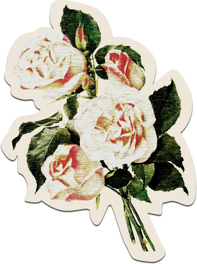 国庆不出重庆旅游推荐,国庆游玩不拥挤还免费