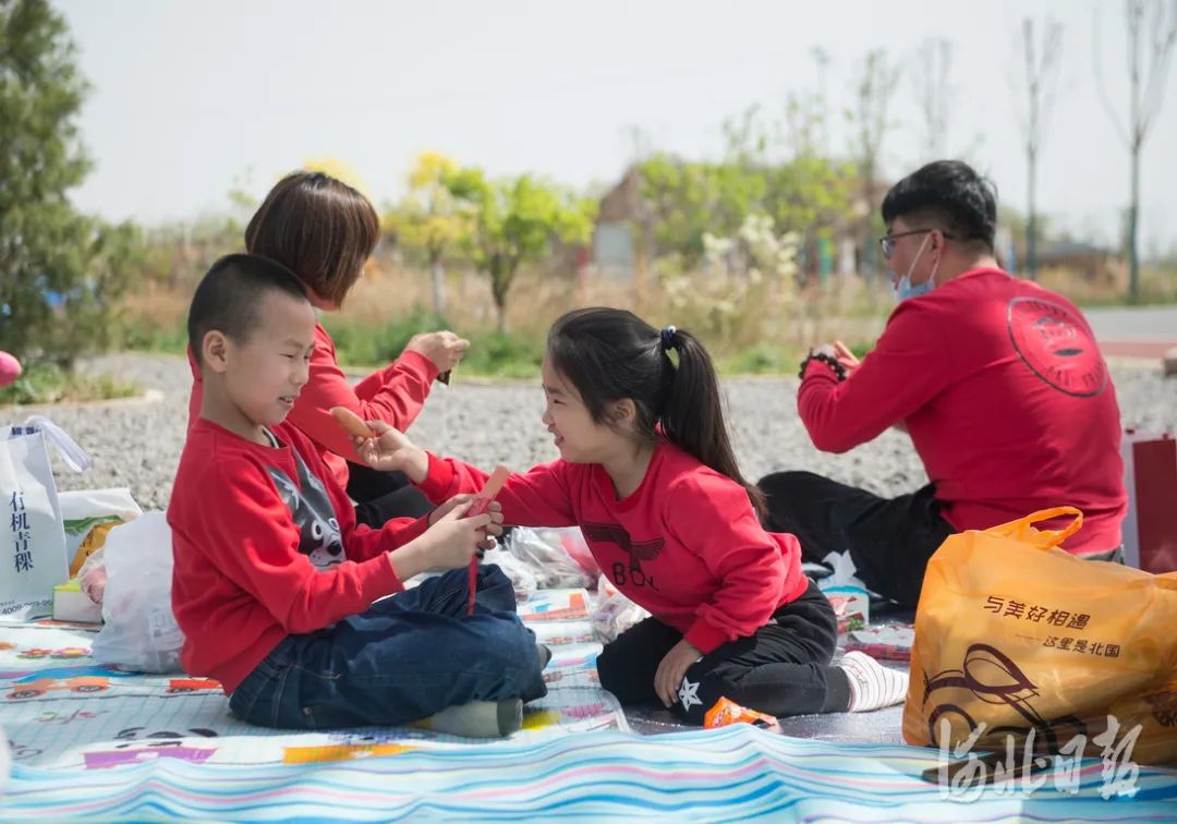 石家庄的春天真的太美啦,石家庄春天看花