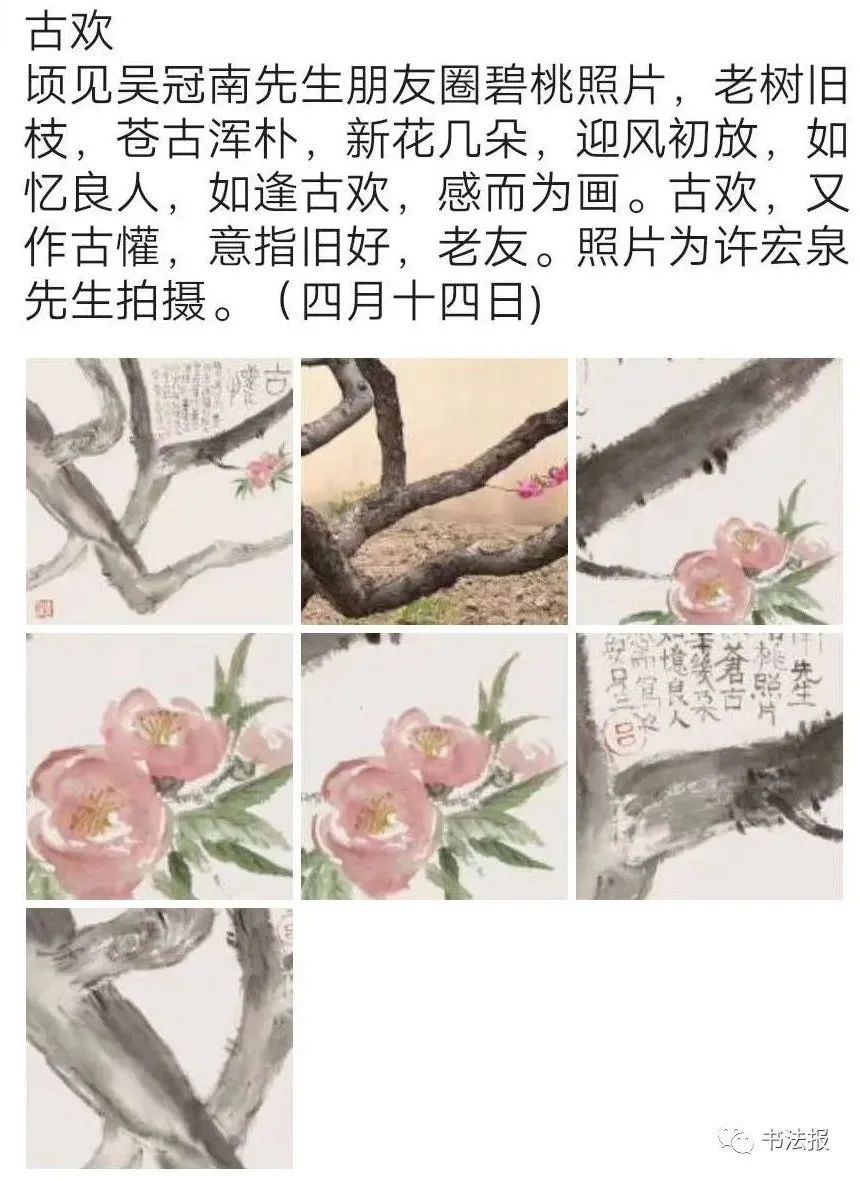 笔墨迎春花，57位画者为桃花“造像”