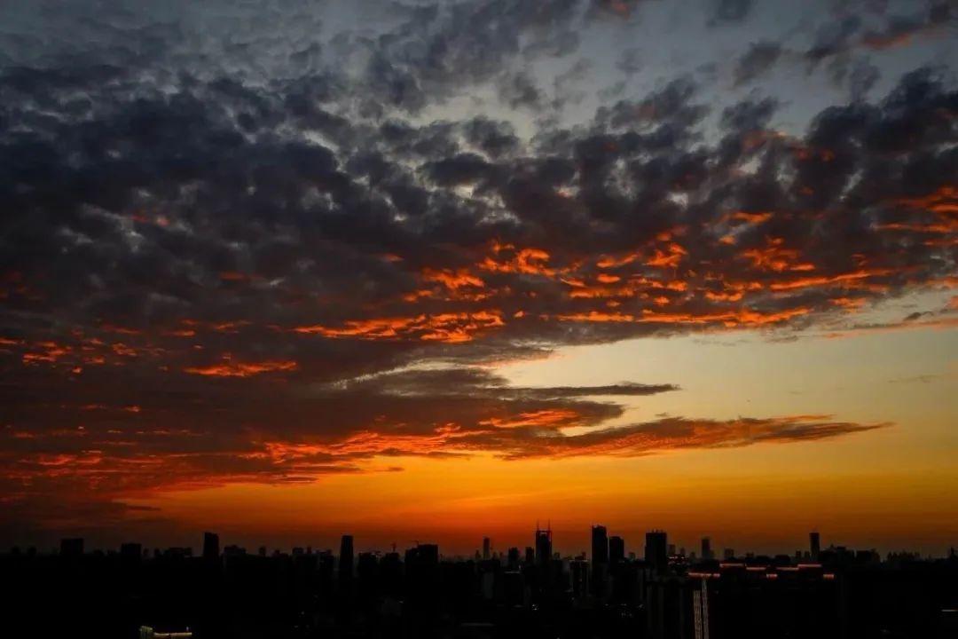 离开学校的第100天,离开校园的第100天