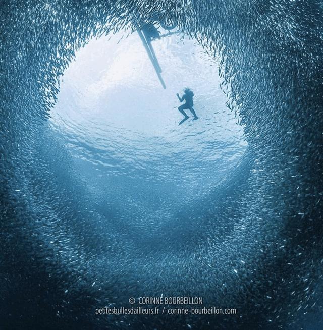 薄荷岛宿务攻略,宿务薄荷岛旅游怎么样