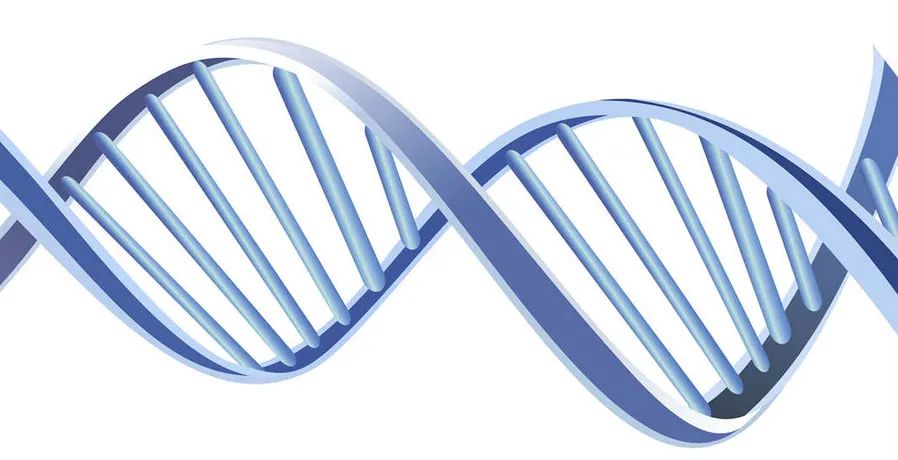 类风湿性关节炎研究热门,类风湿性关节炎最新发现