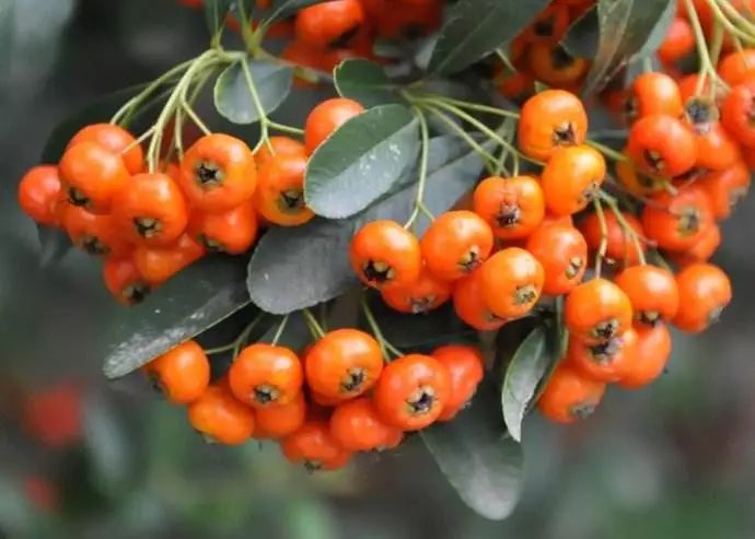 是我长大了，还是这些童年饮料不好喝了？15省家乡饮料报告