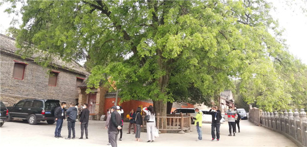 河南南阳好春光,南阳香严寺航拍