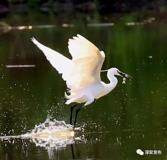 最惊艳的千岛湖,美丽壮观的千岛湖