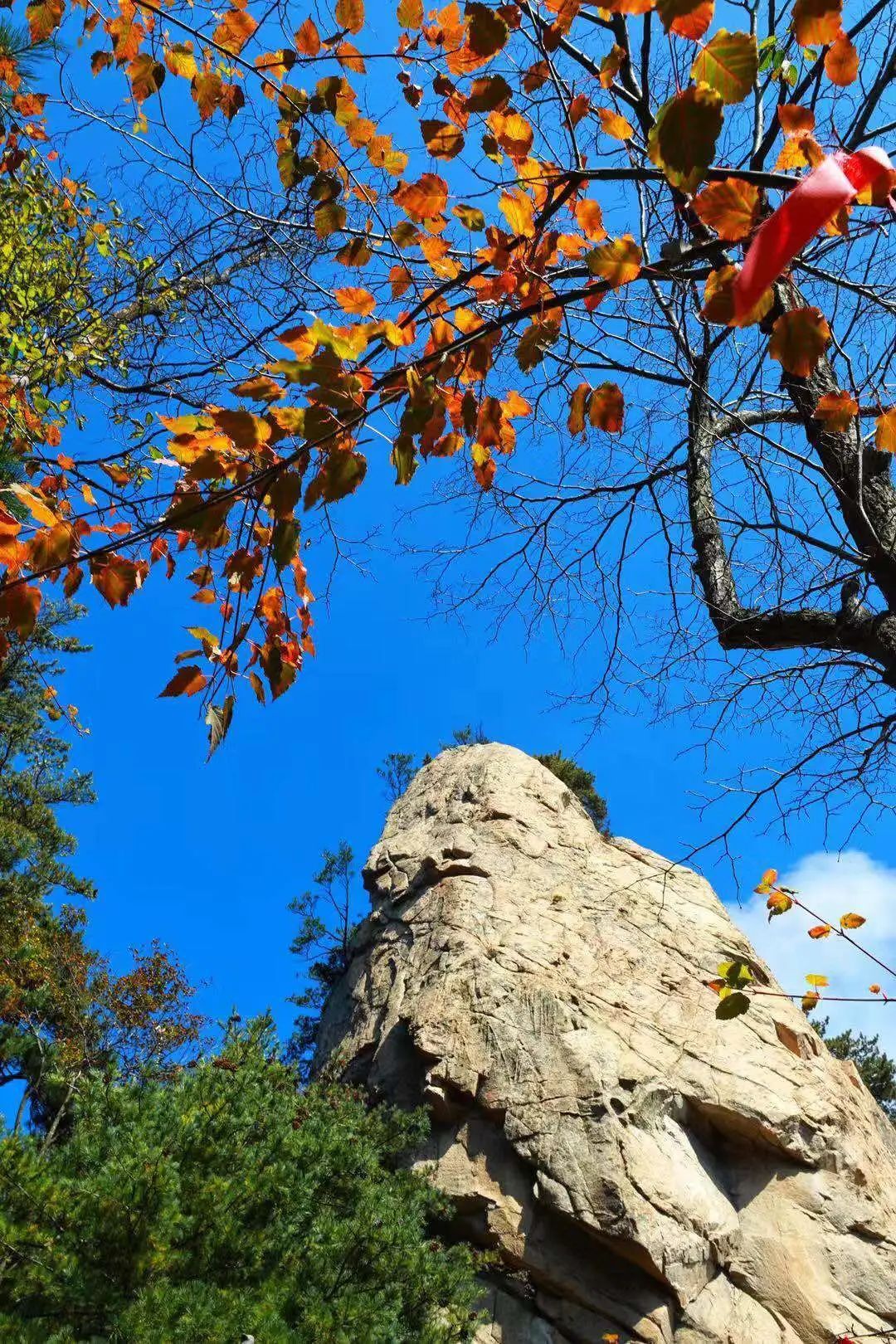南阳老界岭景区6月最新门票活动,南阳老界岭滑雪一日游