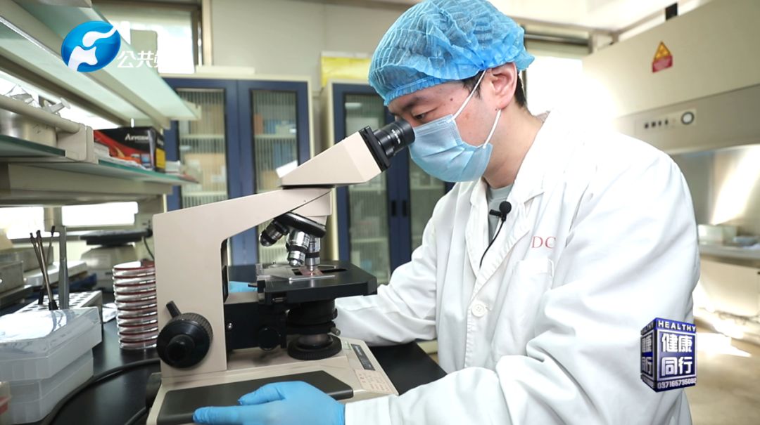 河南电视台健康同行,河南公共频道健康同行