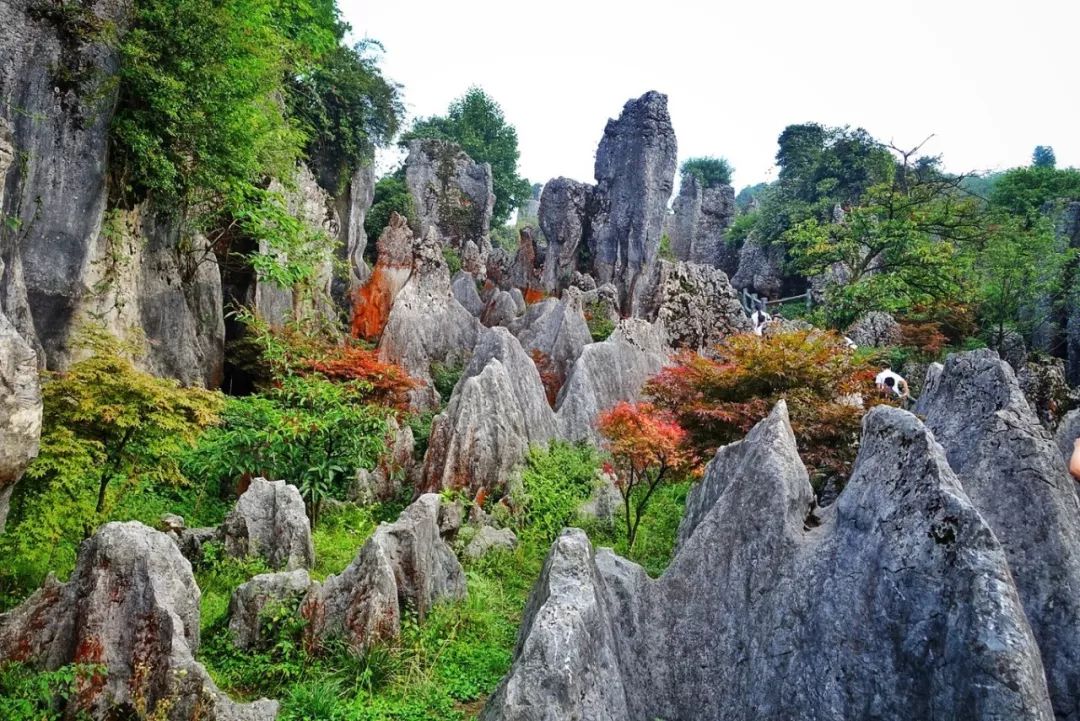 重庆避开人群攻略,重庆周边小众旅游线路