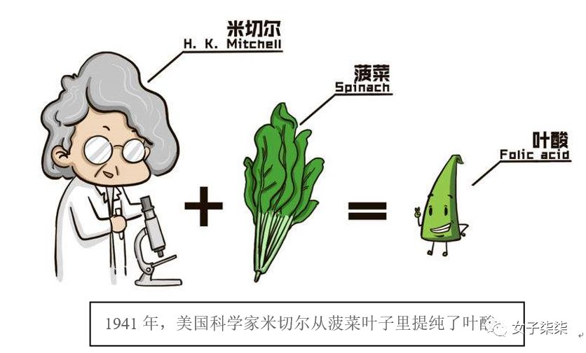 男人吃叶酸对备孕有帮助吗,备孕最重要的几件事越早知道越好