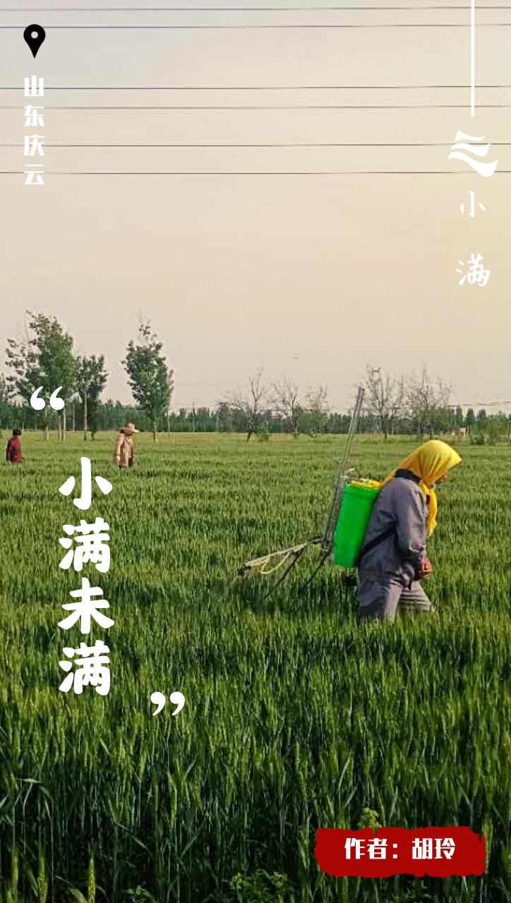 创意小满海报,小满海报设计