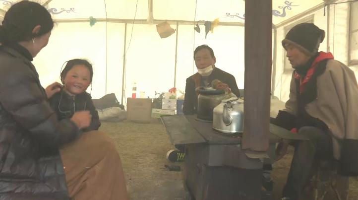 “软黄金”出土到上市！虫草商人的袖里乾坤竟是“摸手谈价”！