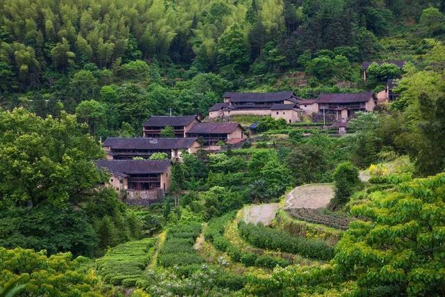 丽水3天2晚攻略,浙江丽水青田游玩攻略