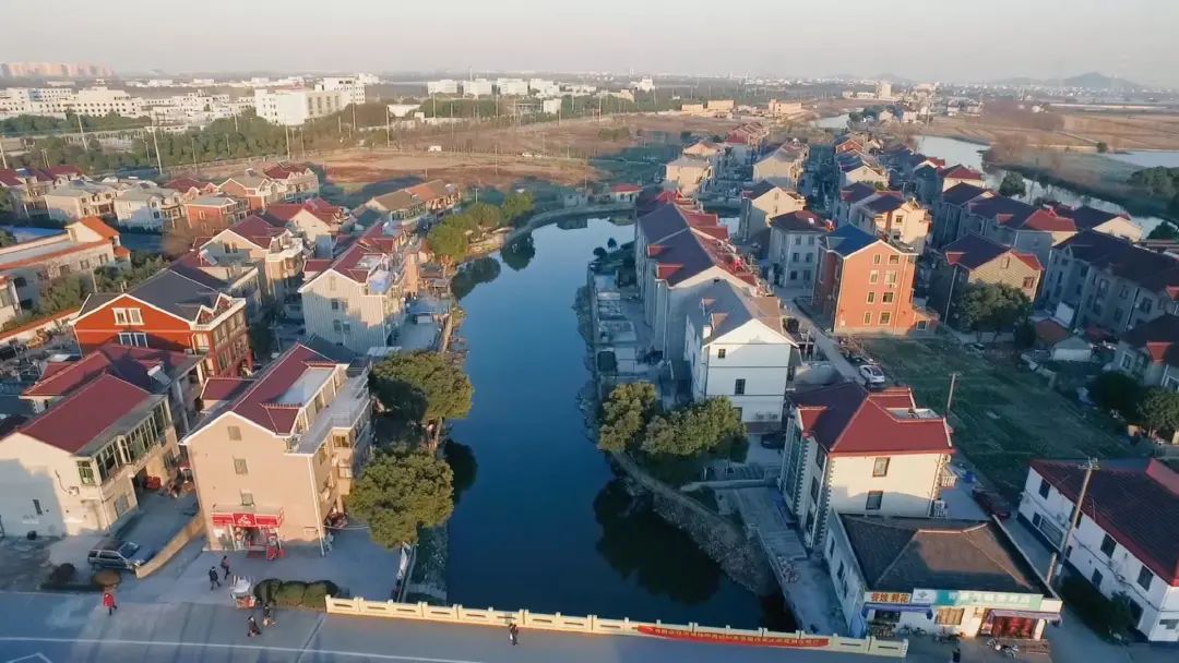 枫泾枫美路改造,青浦枫泾古镇