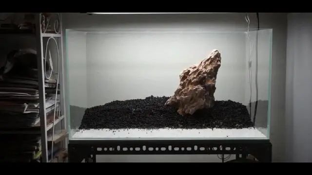 新手鱼缸开缸养水教程,新手海水缸开缸准备材料清单