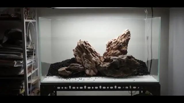 新手鱼缸开缸养水教程,新手海水缸开缸准备材料清单