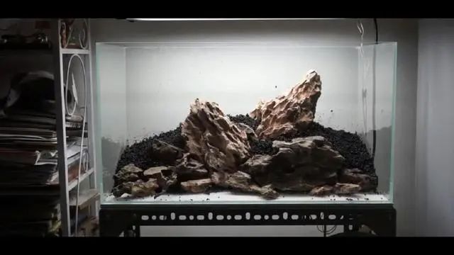 新手鱼缸开缸养水教程,新手海水缸开缸准备材料清单