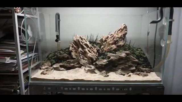 新手鱼缸开缸养水教程,新手海水缸开缸准备材料清单