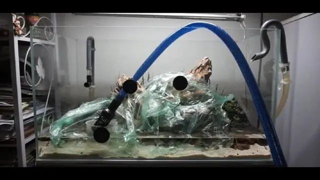 新手鱼缸开缸养水教程,新手海水缸开缸准备材料清单