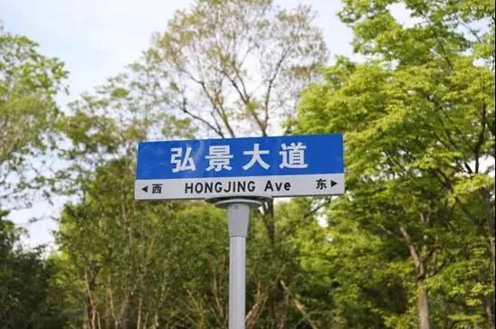 竞速新赛道,竞速三选一