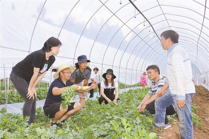 打造一支带不走的医疗队新华网,打造一支永不走的工作队实施方案