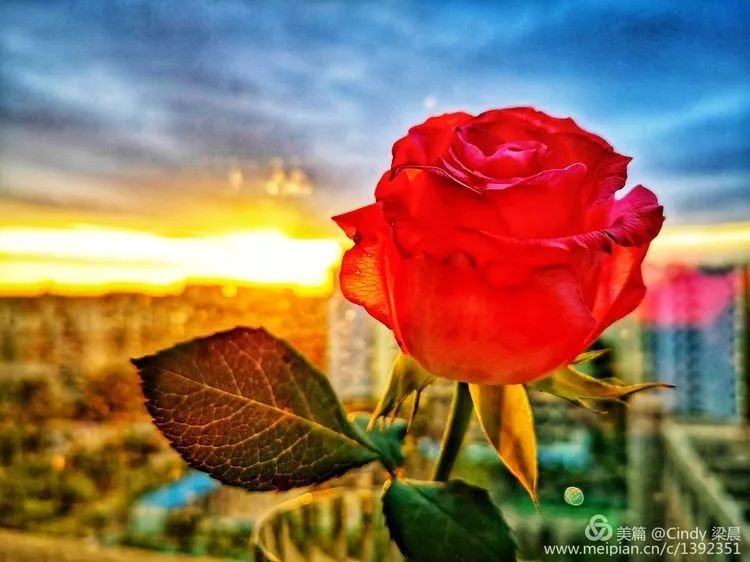 濡備綍浣撻獙浣忛櫌瀛︿範,浣撻獙浣忛櫌娴佺▼