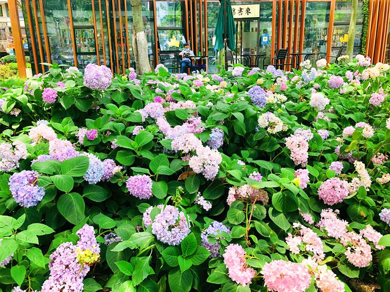 成都锦江老街,成都锦江边老街