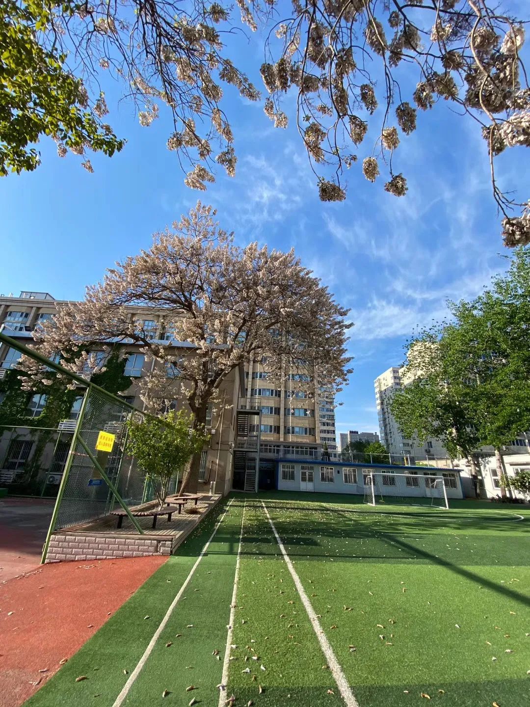 北京八中京西校区招生计划,北京八中2020高考招生人数