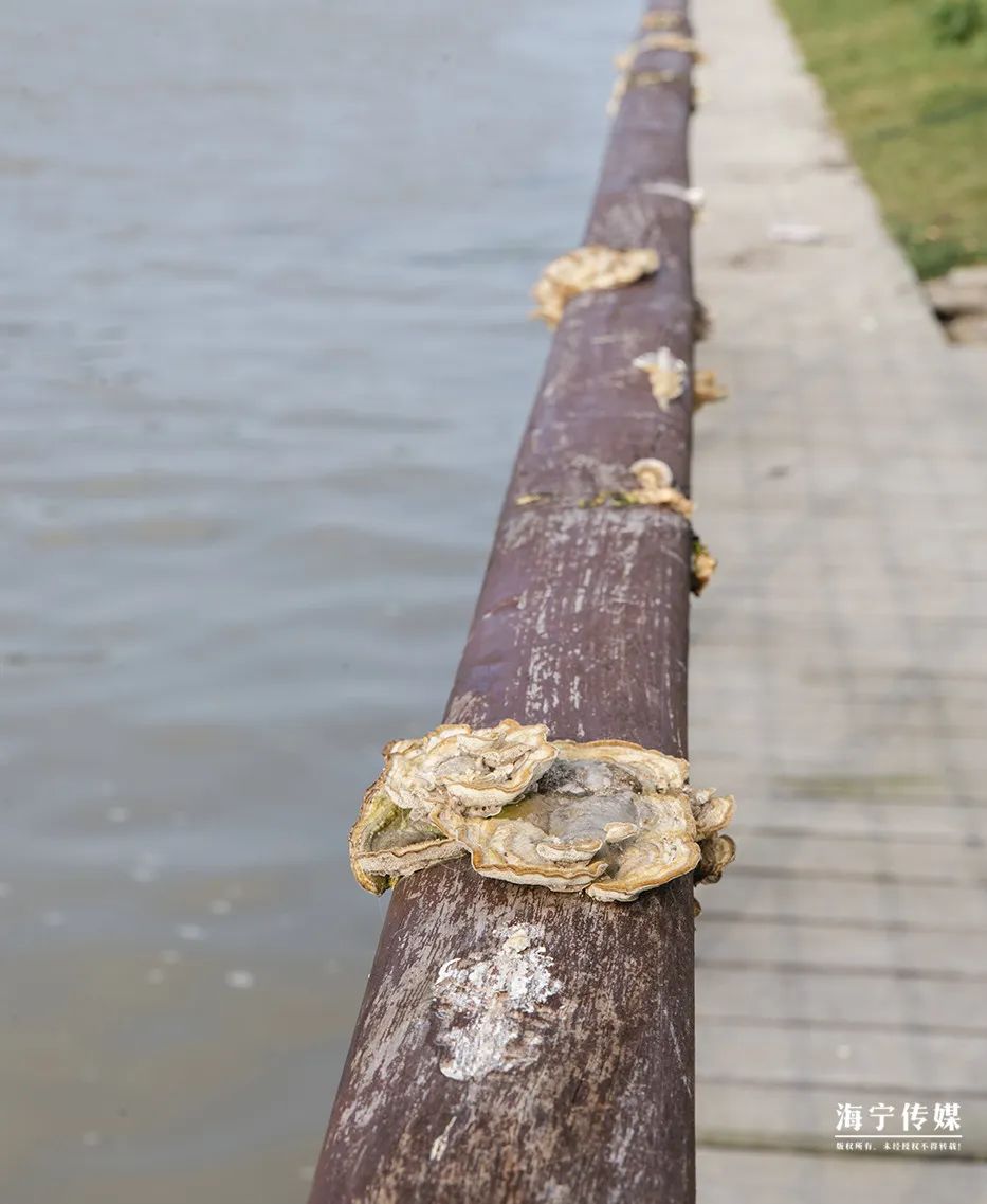 纯天然的野货视频,纯天然野货