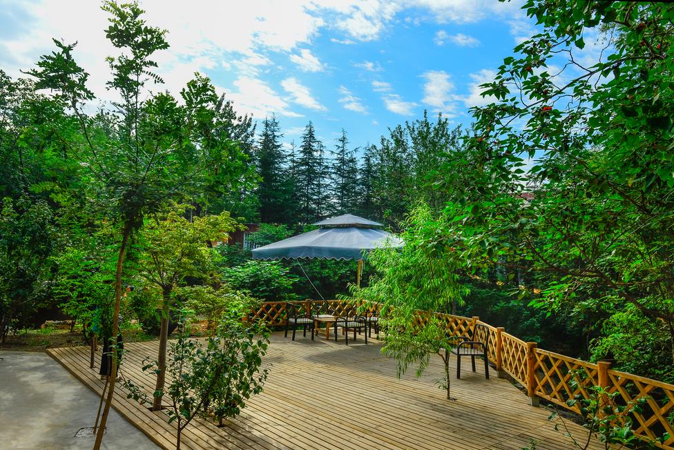 美如桃源！藏在*安泰**里的“神仙美宿”，带你睡进诗画里……