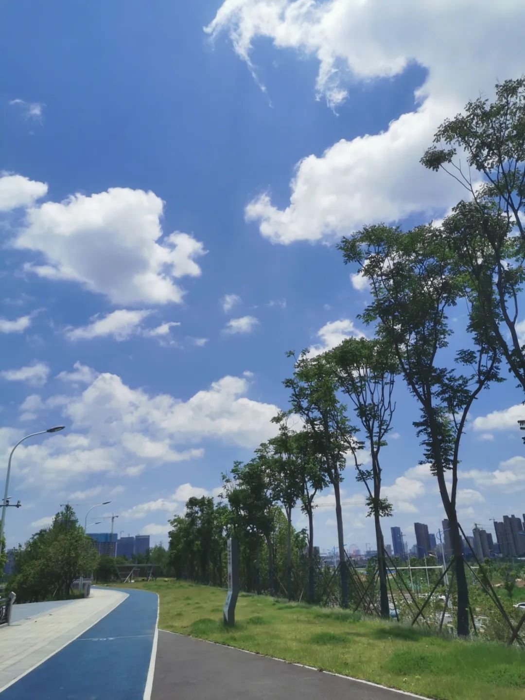 刷屏了！这样的开福蓝，请给我来一打