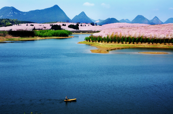 宏立城集团产业结构,宏立城集团股份有限公司