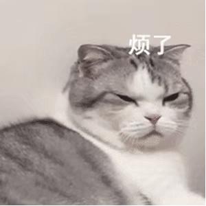 微信昵称有更改功能,微信新出功能昵称