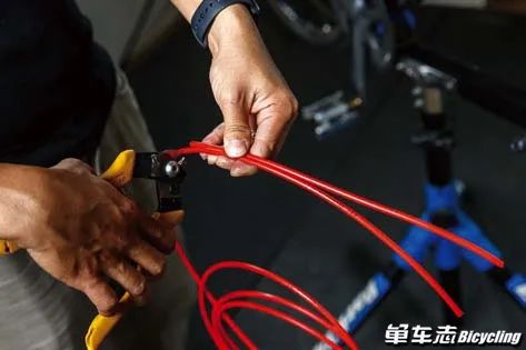 什么时候换刹车线,全刹变速线和刹车线多久一换