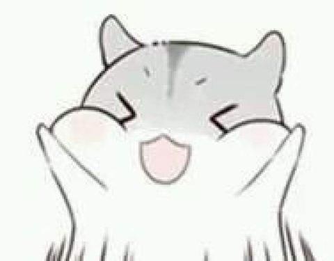 长寿村的秘密原视频,世界长寿乡梅州市蕉岭县