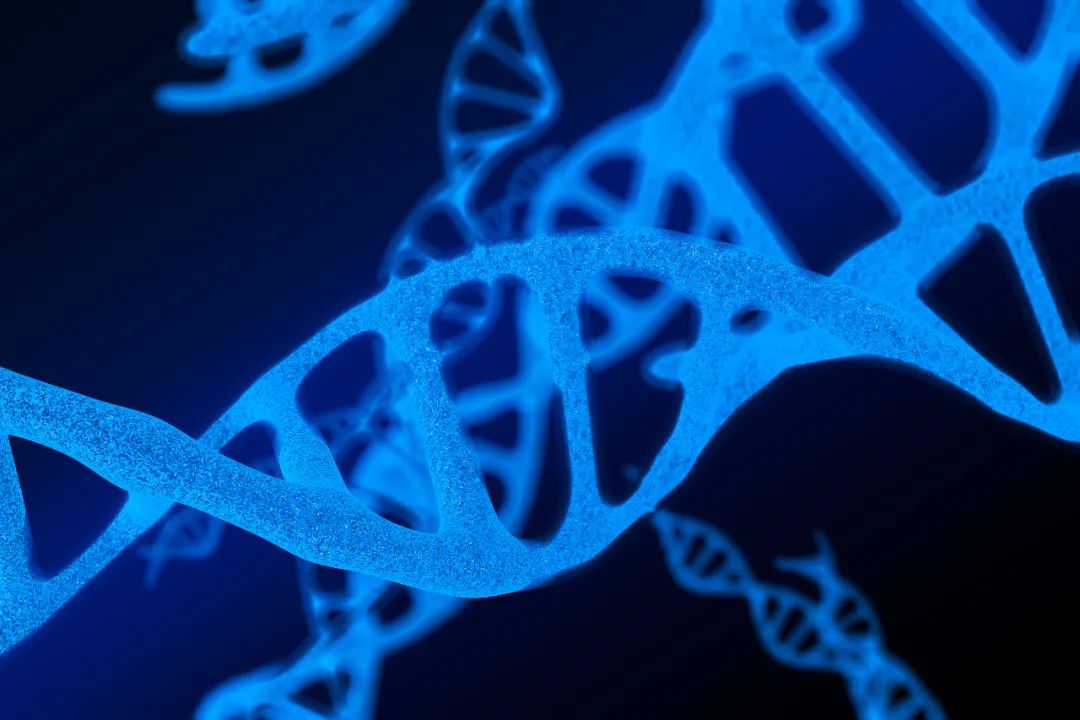 导致胎停育的七大原因,孕妇胎停育的6大杀手