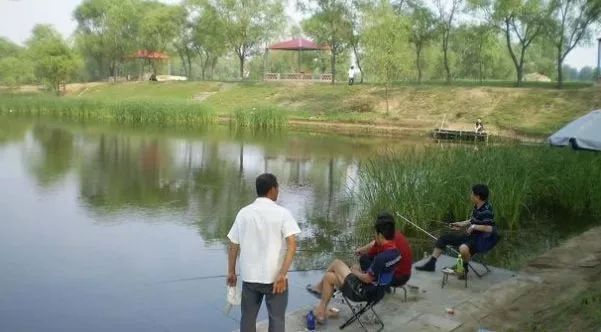 当今农村养殖什么最赚钱最好养,农村养殖业什么项目比较稳回本快