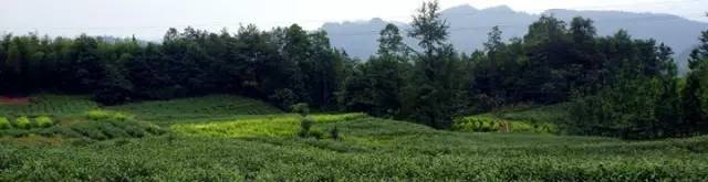 大邑周边带孩子玩的宝藏地,大邑宝藏登山地