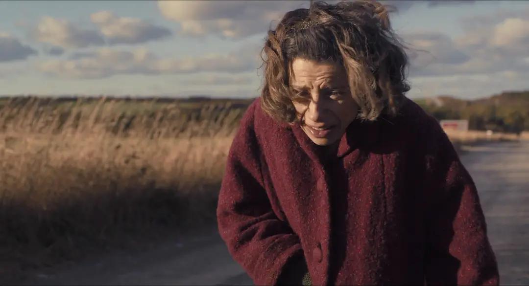 白宫为何求购加拿大农妇的画作？她一生凄凉，却用作品感动世界