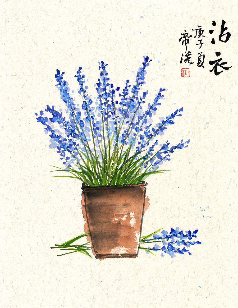 生如夏花之绚烂死如秋叶之静美,生如夏花原唱