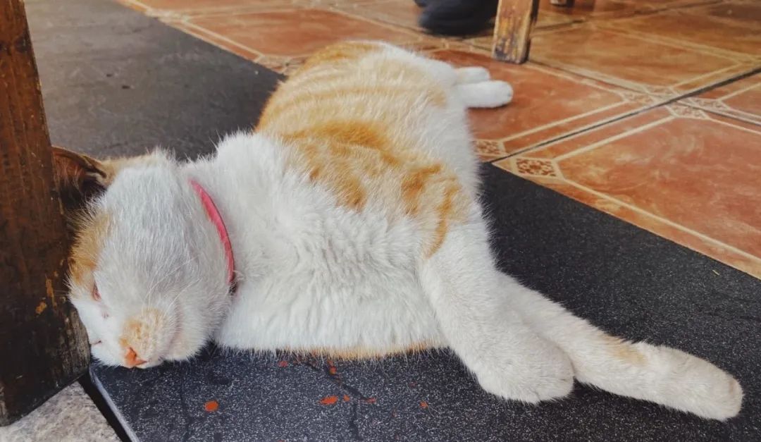 顺德是一个让你不会肚子饿的地方,顺德一个不起眼的地方